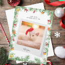 Search for funny cat christmas cards Script