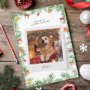 Search for funny dog christmas cards Modern