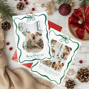 Search for poinsettias christmas cards Green