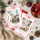 Search for poinsettia christmas cards Collage