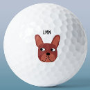 Search for chocolate golf balls Dog
