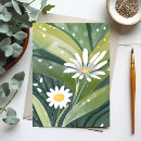 Search for spring daisy postcards Daisies