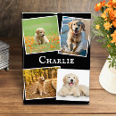 Search for gallery home living Keepsake