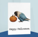 Search for pumpkin postcards Halloween
