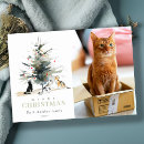 Search for puns christmas cards Watercolor