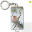 Search for bird house key rings Birdwatching