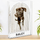 Search for dog photo display Memorial