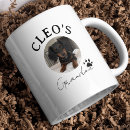 Search for pet parent mugs Modern