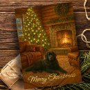 Search for newfoundland christmas cards Dog lover