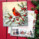 Search for cardinal photo cards Message