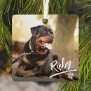 Search for remembrance pet memorials Create your own