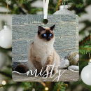 Search for pet christmas tree decorations Create your own