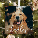 Search for playful christmas tree decorations Create your own