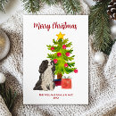 Search for cavalier king charles spaniel christmas cards Puppy