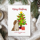 Search for cavalier king charles spaniel christmas cards Puppy