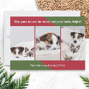 Search for merry funny christmas cards Animal