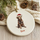 Search for chocolate labrador christmas tree decorations Xmas