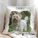 Search for dog name cushions Pet lover