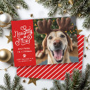 Search for cute funny christmas cards Cat photo