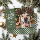 Search for funny cute christmas cards Cat photo