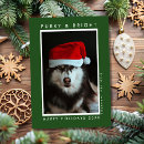 Search for funny dog and cat christmas cards Festive