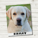 Search for pet photo puzzles Keepsake
