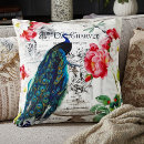 Search for peacock cushions Turquoise