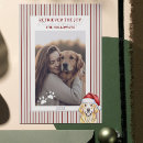 Search for puppy dog puns cards Golden retriever