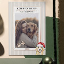 Search for puppy dog puns cards Golden retriever