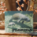 Search for manatee Florida