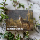 Search for arizona postcards Cactus