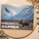 Search for alaska postcards Moose