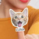 Search for cats and dogs stickers For pets