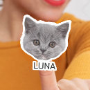 Search for funny cat image stickers For pets