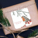 Search for robin bird stickers Red berries