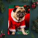Search for happy pawlidays cards Puppy