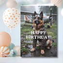 Search for german shepherd birthday cards Funny