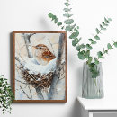 Search for winter bird posters Watercolor