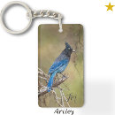 Search for blue jays key rings Wildlife