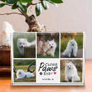 Search for dog memorial photo display Modern