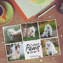 Search for jigsaws pet dogs puzzles Modern