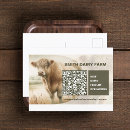 Search for beef cattle postcards Cow