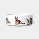 Search for german shepherd dog bowls Cute