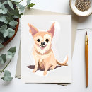 Search for chihuahua puppies postcards Pet