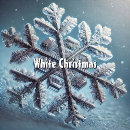 Search for dream christmas tree decorations Modern