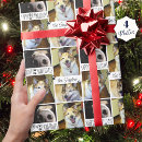 Search for funny dog wrapping paper Modern