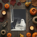 Search for kitten halloween cards Ghost