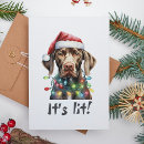 Search for dog sayings christmas cards Humour