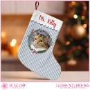 Search for for cat lovers christmas stockings Pet photo