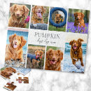Search for pet puzzles Create your own